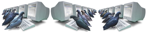 pigeon_system.jpg