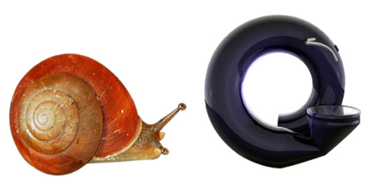 coffee machine snail