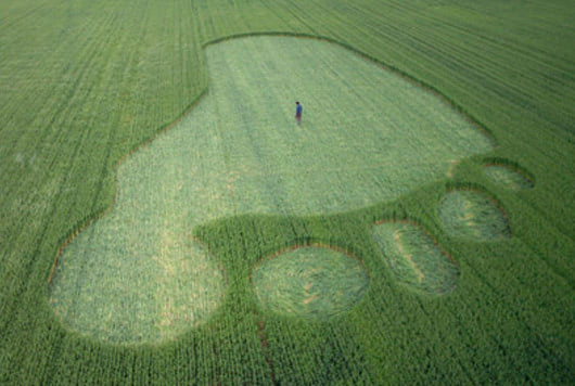 crop footprint