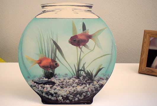 fishbowl1