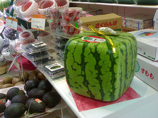 melon giftwrap