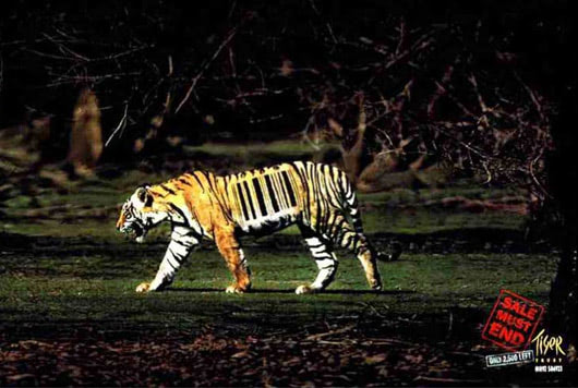 barcode tiger