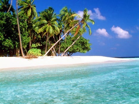 island-paradise-maldive.jpg