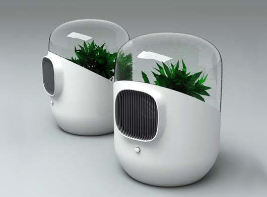 Plant-powered indoor filtration system