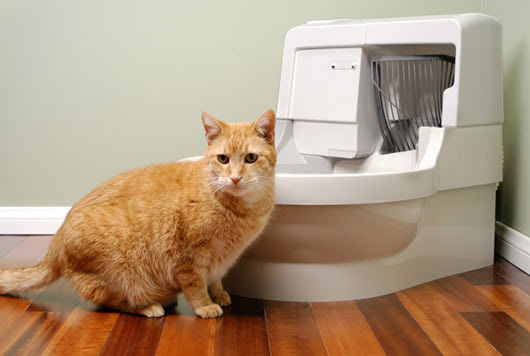 Cat Genie Self-Cleaning Litter Box