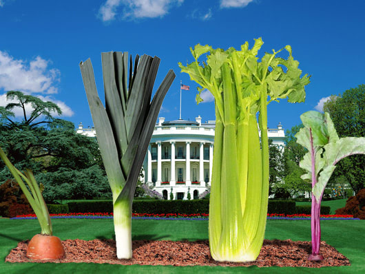 presidential vegetables
