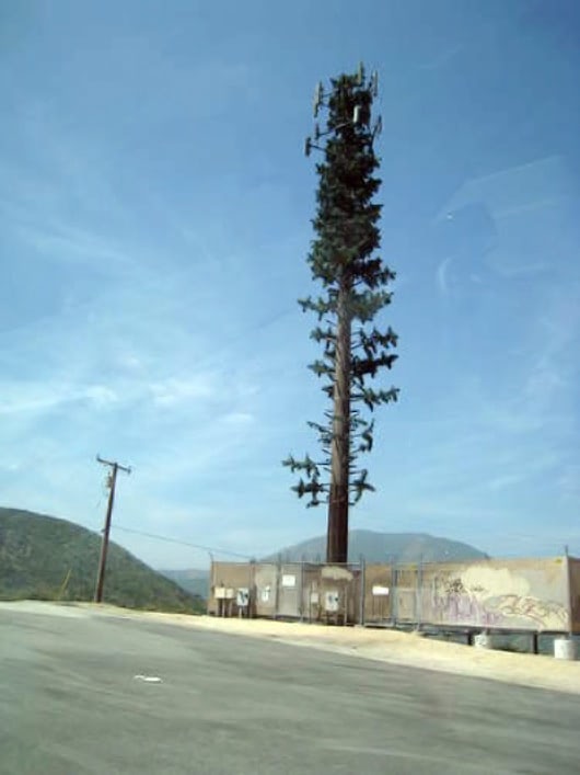 antenna tree mast