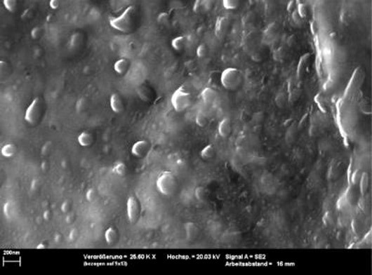 nanocapsules repair surfaces