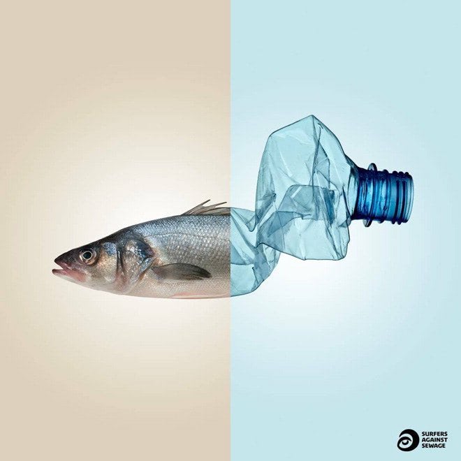 plastic presence in our oceans