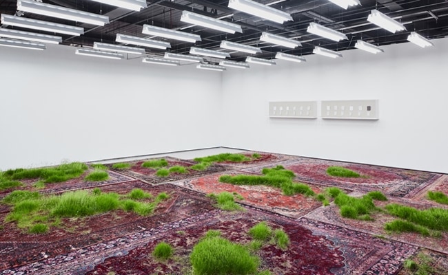 Martin Roth brings Persian rugs to life with the cultivation of grass