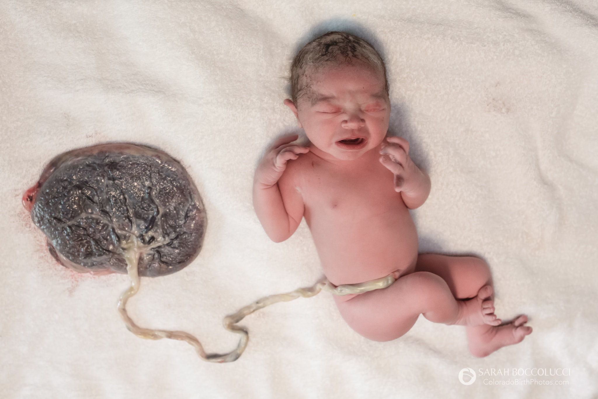 When Does Baby Placenta Develop?