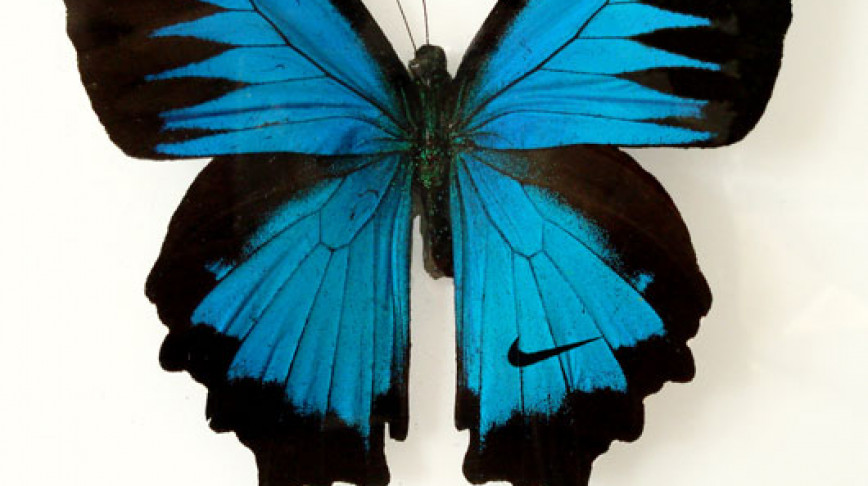 Visual of Branded Butterfly Wings