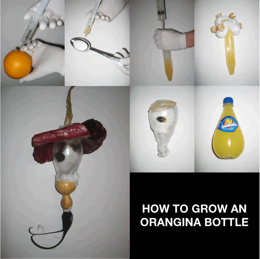 Visual of How to grow an Orangina bottle.