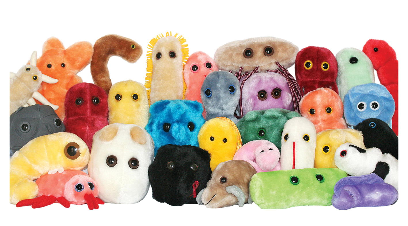 Visual of Giant Plush Microbes