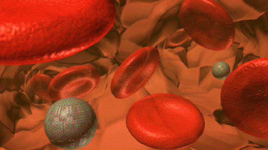 Visual of Blood Cells 2.0