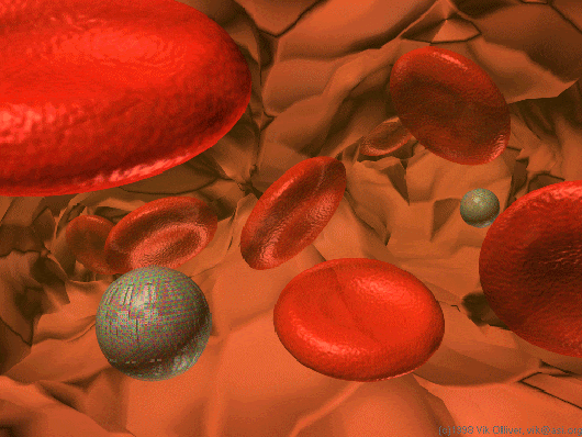 Visual of Blood Cells 2.0