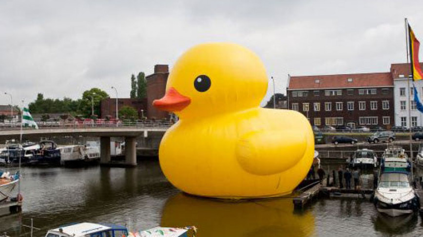 Visual of Rubber Duck XL