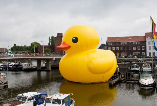 Visual of Rubber Duck XL