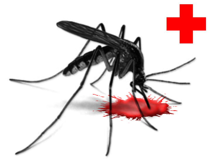 Visual of Engineering Mosquitoes into Flying Vaccinators