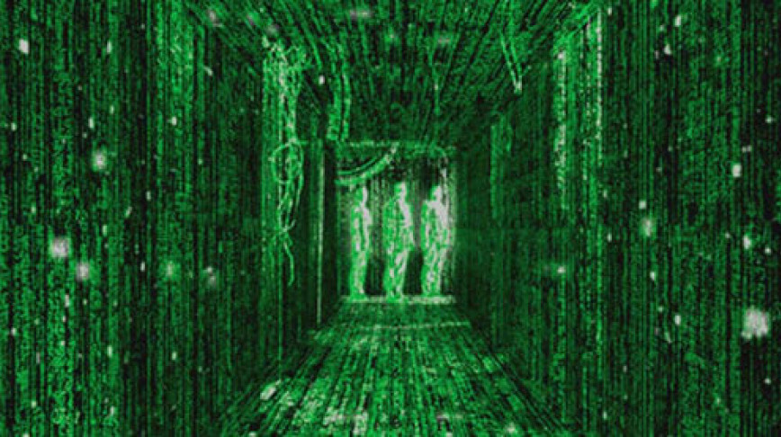 Visual of Next Nature Movie #6: The Matrix