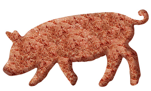Visual of Animal-Free Meat Could Put a Hold on Global Warming