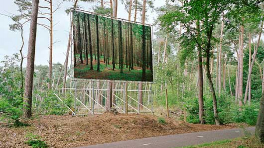 Visual of Billboard in the Forest