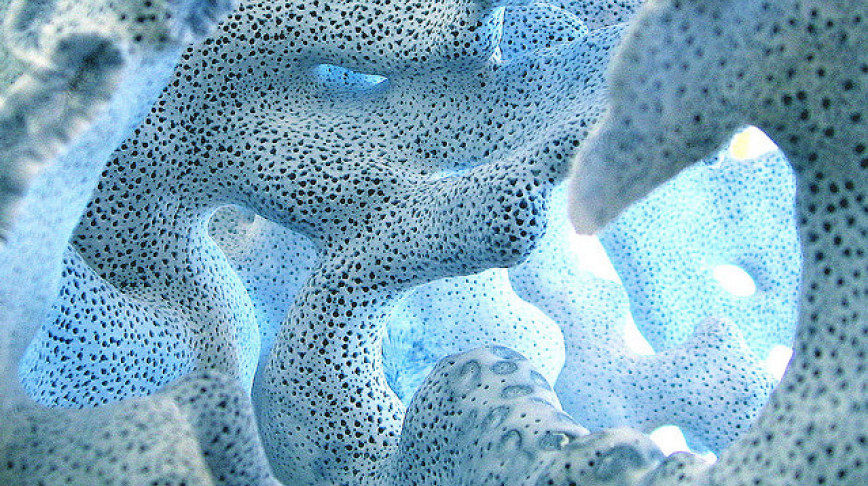Visual of Growing Cement like Coral
