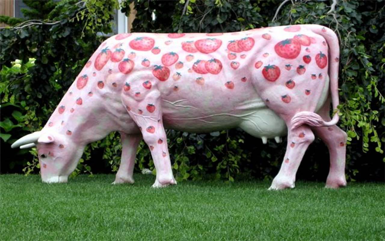 Visual of Strawberry Cow