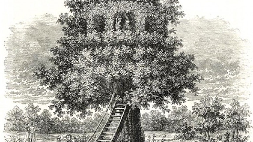 Visual of Tree Temple