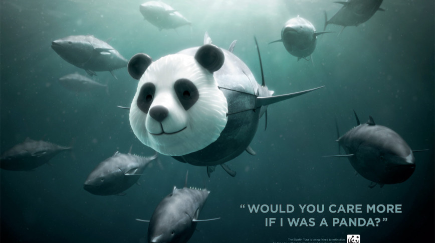 Visual of Would you care more if I was a Panda?