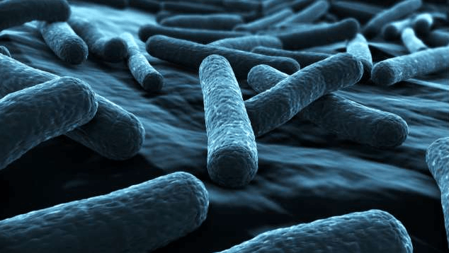 Visual of GM Bacteria Turn Carbon Dioxide into Biofuel