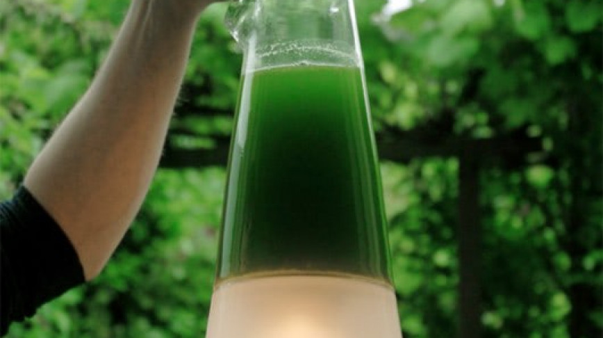 Visual of Latro Algae Lamp