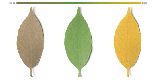 Visual of Leaf Thermometer