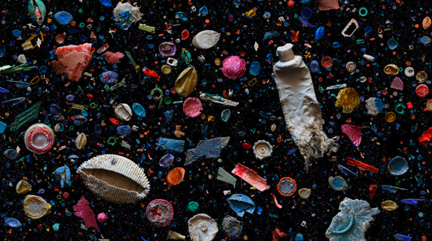 Visual of Plastic Junk Helps Ocean Animals (Sometimes)