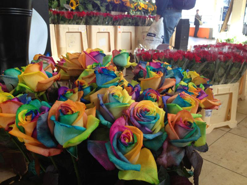 Visual of Rainbow Roses
