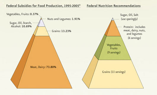 Visual of Why does a Salad Cost More Than a Big Mac?