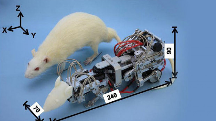 Visual of A Robot to Make Rats Depressed
