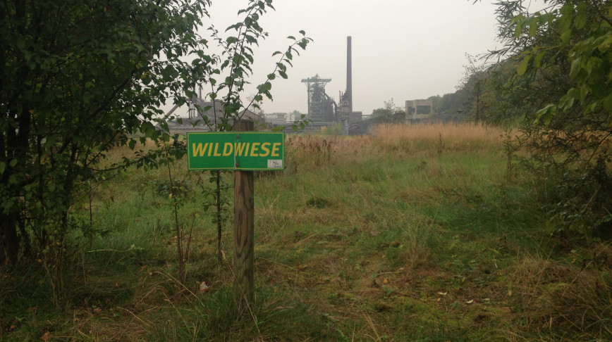 Visual of Anthropo-scene #5: Industrial Wilderness