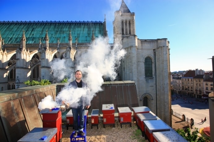 Visual of High-Priced Honey from Parisian Rooftops