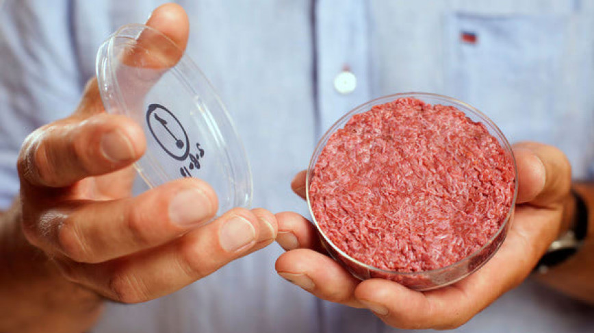 Visual of Why Meat Grown in Labs is the Next Logical Step for Food Production