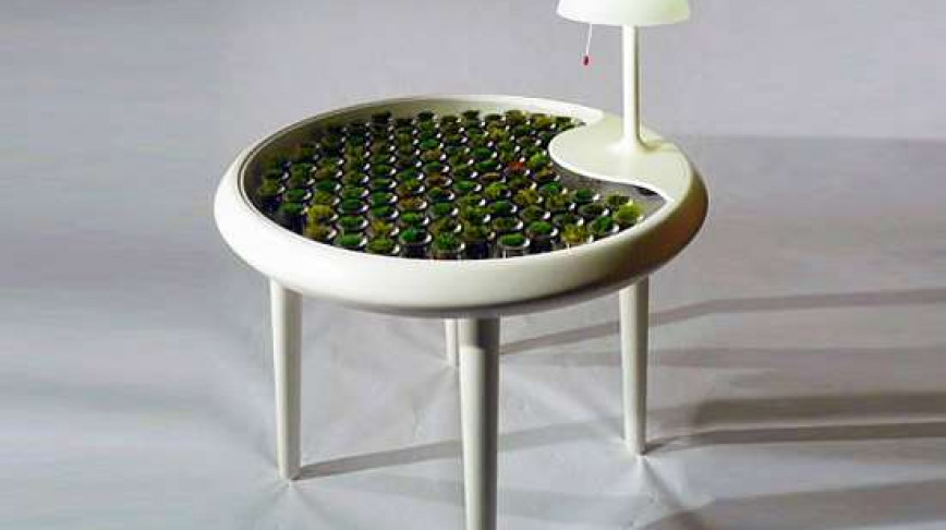 Visual of Moss Table Powers Its Own Lamp
