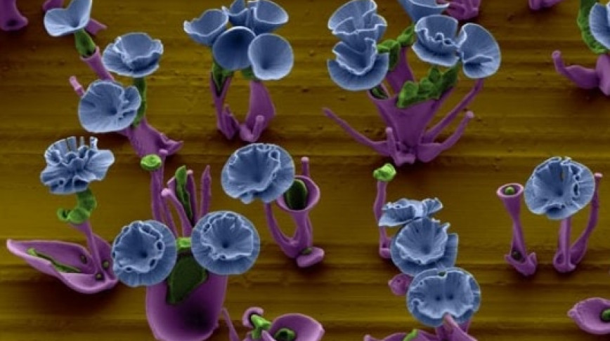 Visual of Nanoscale Bouquet of Flowers