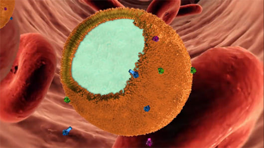 Visual of Nanosponges "Soak Up" Toxins and Antibiotic-Resistant Bacteria
