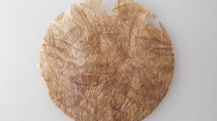 Visual of Bioplastic Made of Pressed Insect Shells