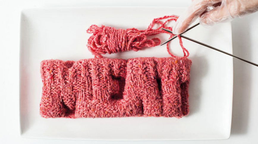 Visual of In Vitro Recipe #1: Knitted Meat