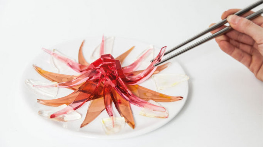 Visual of In Vitro Recipe #5: See-Through Sashimi
