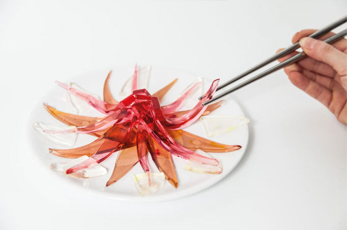 Visual of In Vitro Recipe #5: See-Through Sashimi