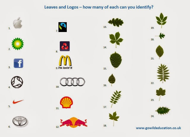 Visual of Leaves & Logos Identification Quiz