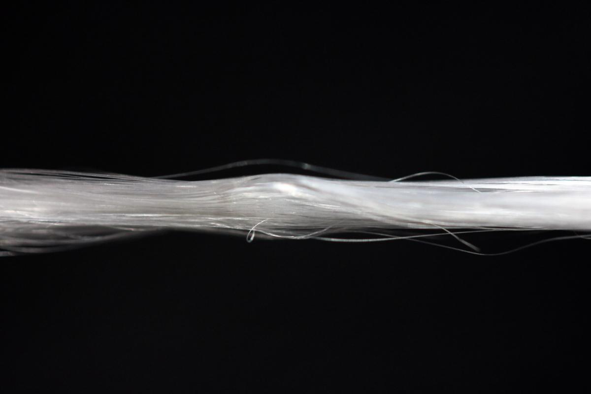 Visual of Spider Silk will be Commercialized in 2015