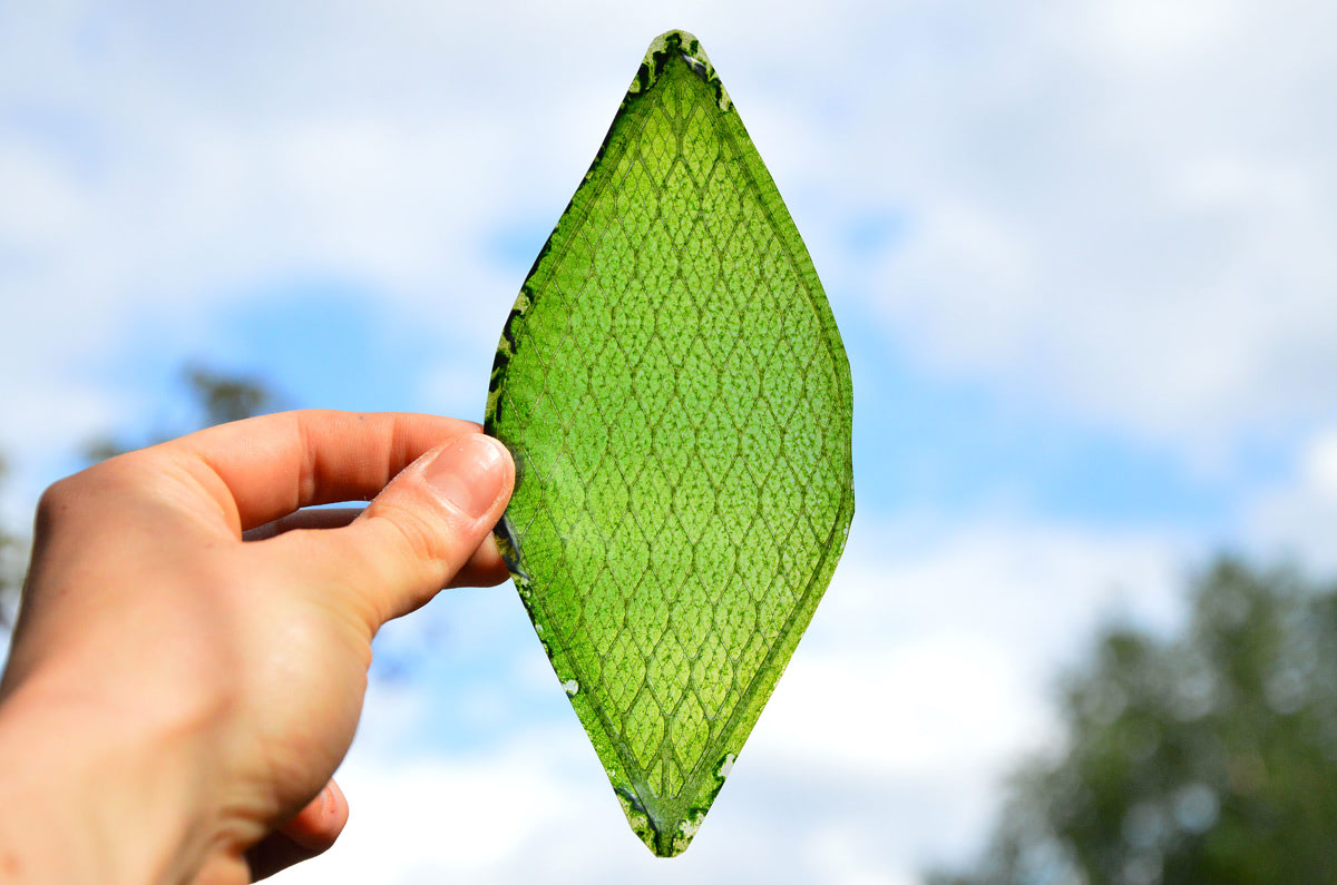 Visual of The First Man Made Leaf Looks like a Leaf